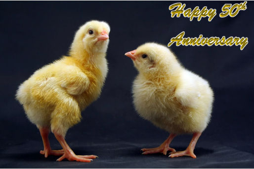 2_chicks-50th-Anniversary-hcr