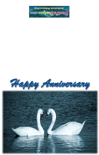 2_swans-qcf-Anniversary-1