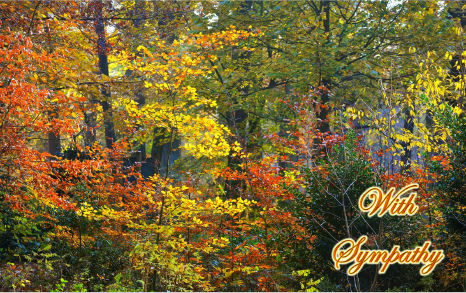 Autumn_Woods-hcr-Sympathy-1