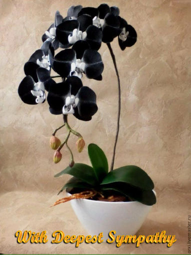 Black_Orchid-1-Sym-2Cor1v3-4-qcf