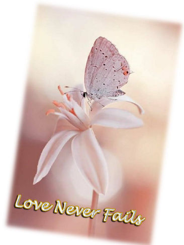 Butterfly_floral-2-Wed-1Cor13v4-8-qcf