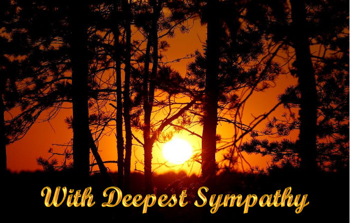 Deep_sunset_trees-Sympathy-hcr-Rev21v3-5 
            or Deep_sunset_trees-Sympathy-qcf