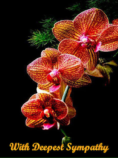 Orchids-1-Sym-2Cor1v3-4-qcf