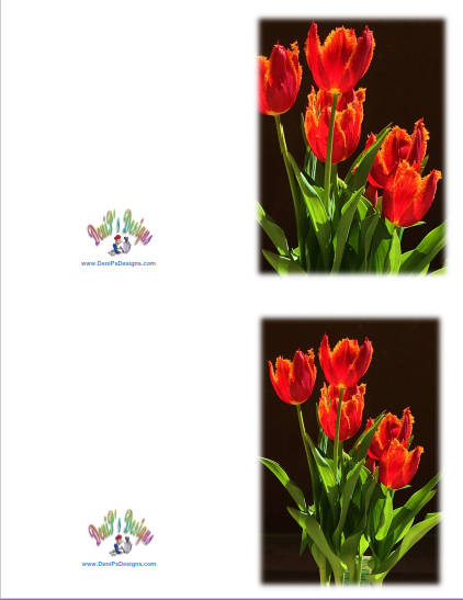 Red_Tulips_2-notes-1