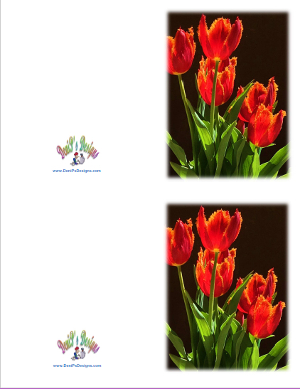 Red_Tulips_2-notes-2
