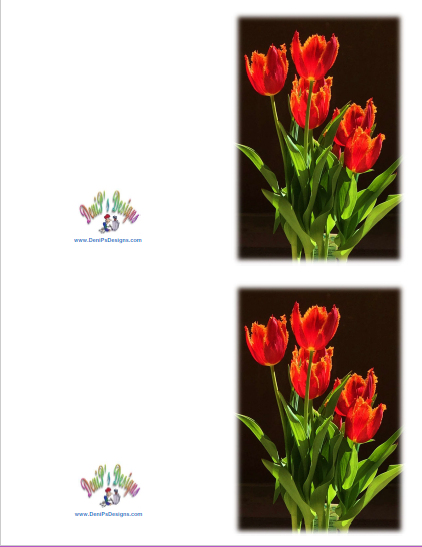 Red_Tulips_2-notes