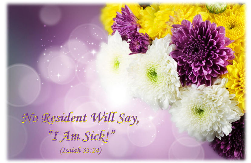 chrysanthemum_bouquet-hcr-Get_Well-Isa_33v24