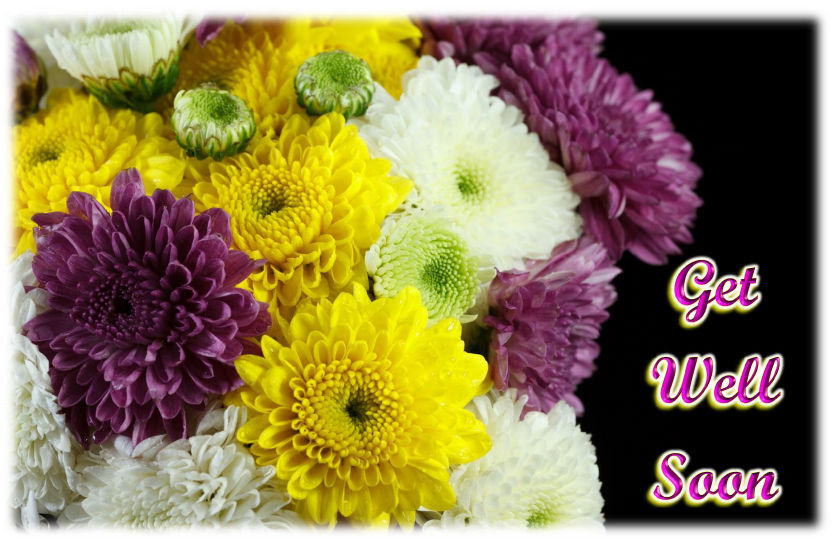chrysanthemum_bouquet-hcr-Get_Well
