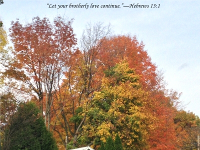 e_autumn_maple_0263.jpg