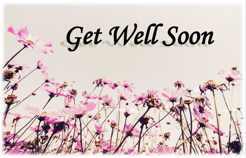 field-Pink-Cosmos-hcr-out_1-Get_Well-Soon