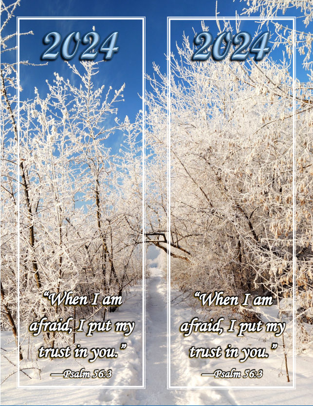 mwb24_E_2_Bks_Lg-Winter-1