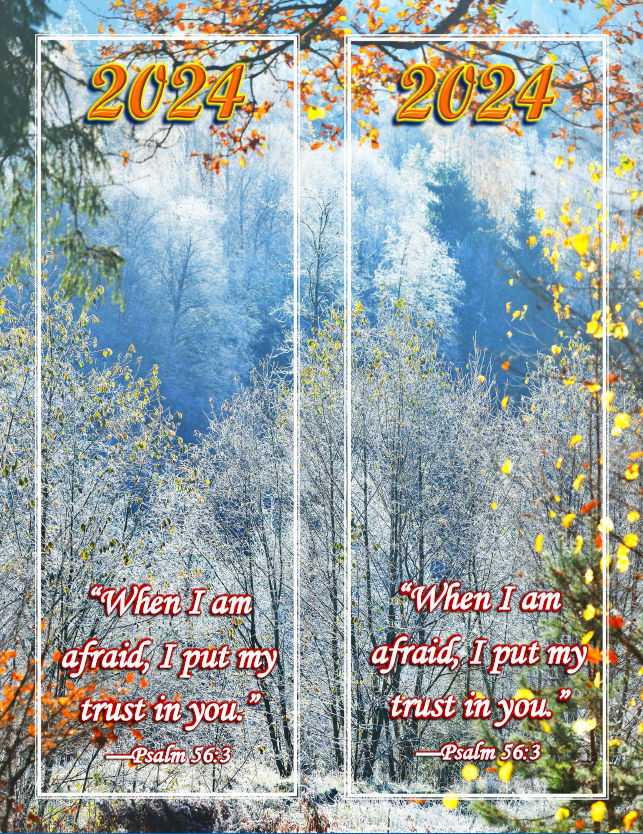 mwb24_E_2_Bks_Lg-Winter-2