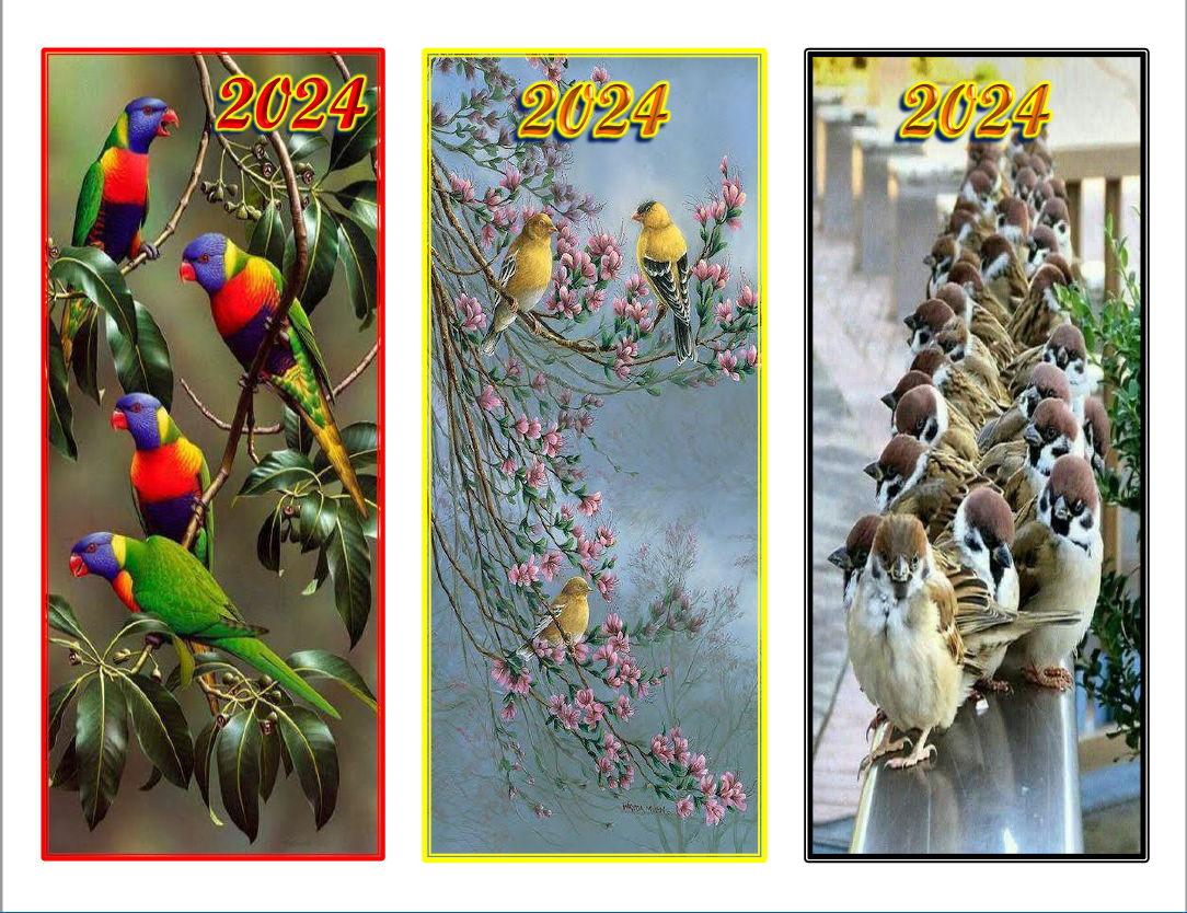 mwb24_E_3_Bks_Birds-1