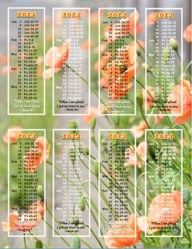 mwb24_E_8_Bks-Orange-Flowers